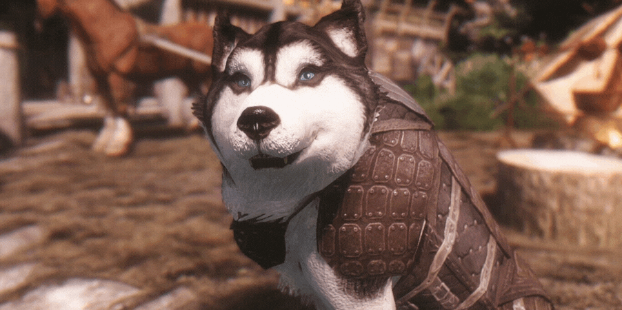 Skyrim released "the best mod in recent years": it allows you to pet dogs